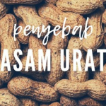 Kadar Asam Urat Normal dan Penyebab Asam Urat Tinggi