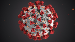 Virus Corona